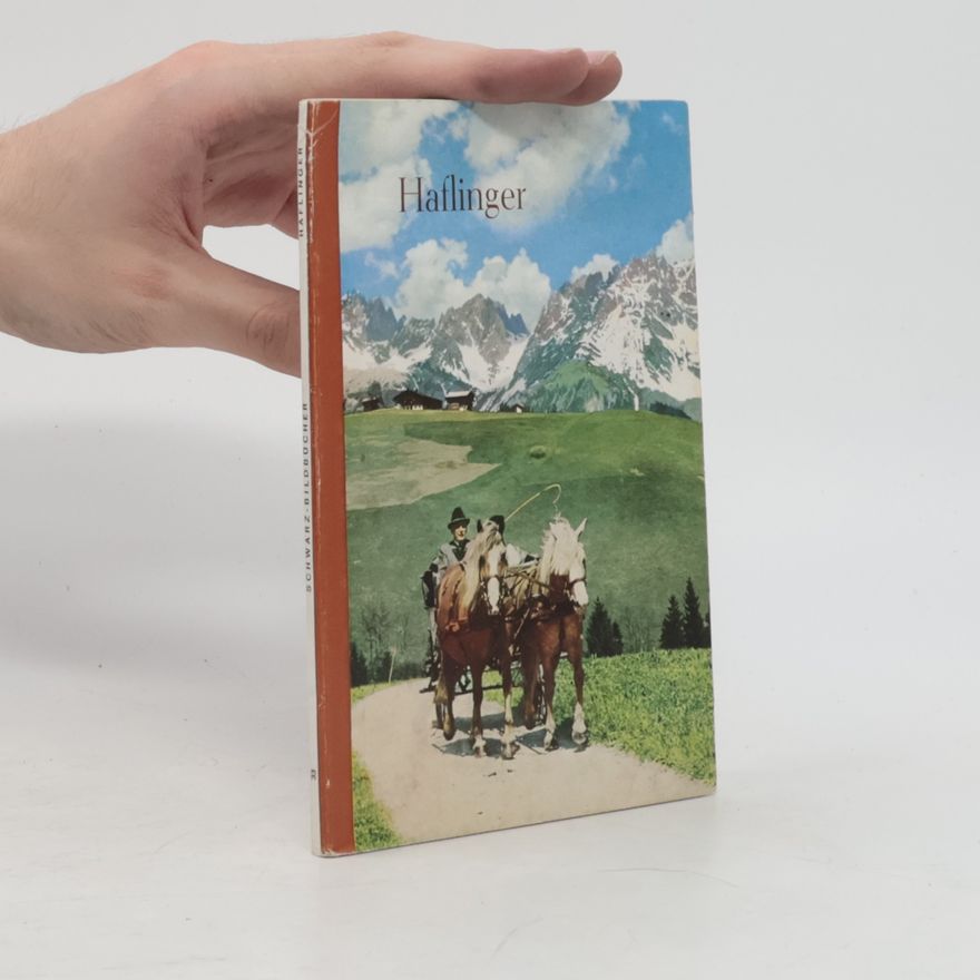 Otto Schweisgut Haflinger