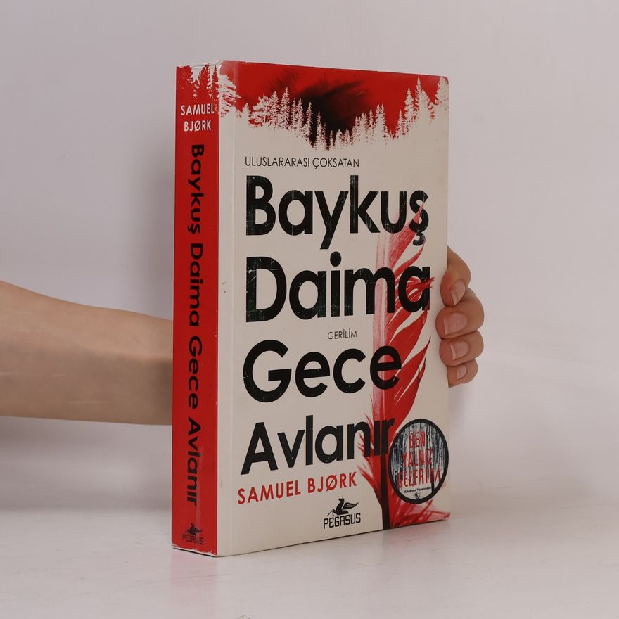 Alpay Pala Baykuş Daima Gece Avlanır