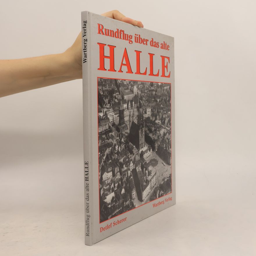 Detlef Scherer Rundflug über das alte Halle