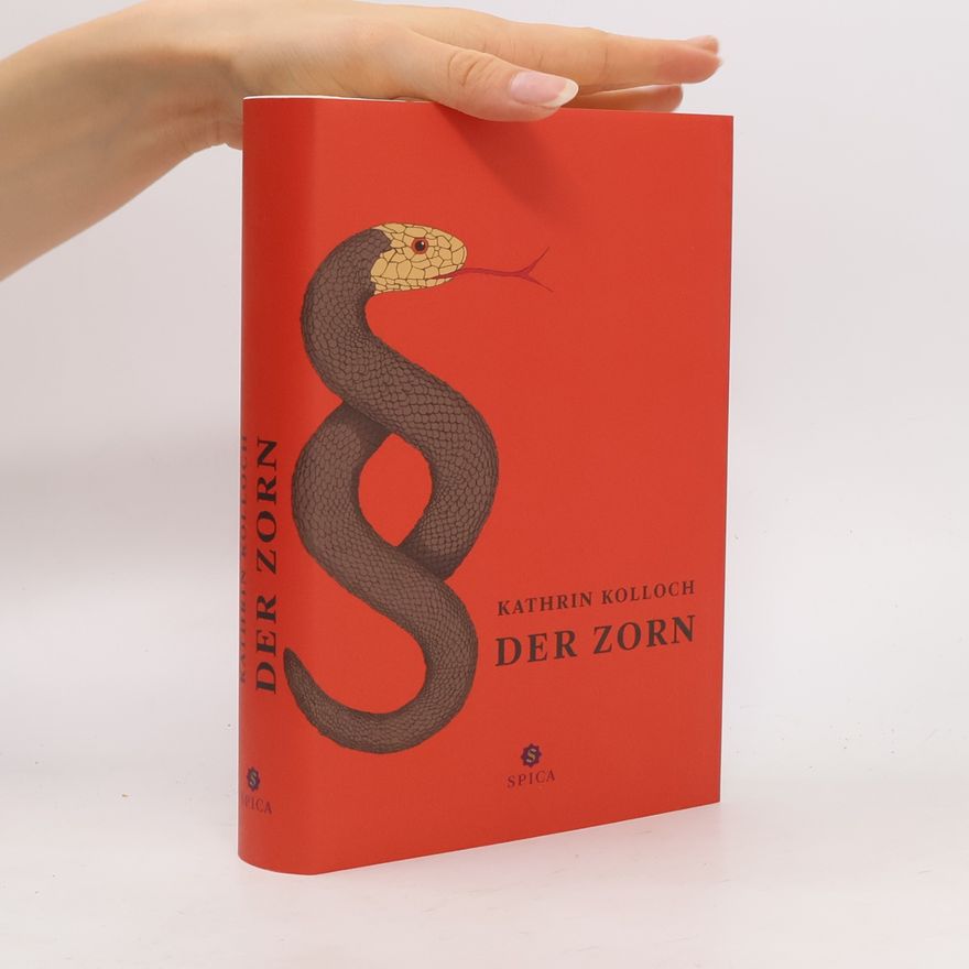 Kathrin Kolloch Der Zorn