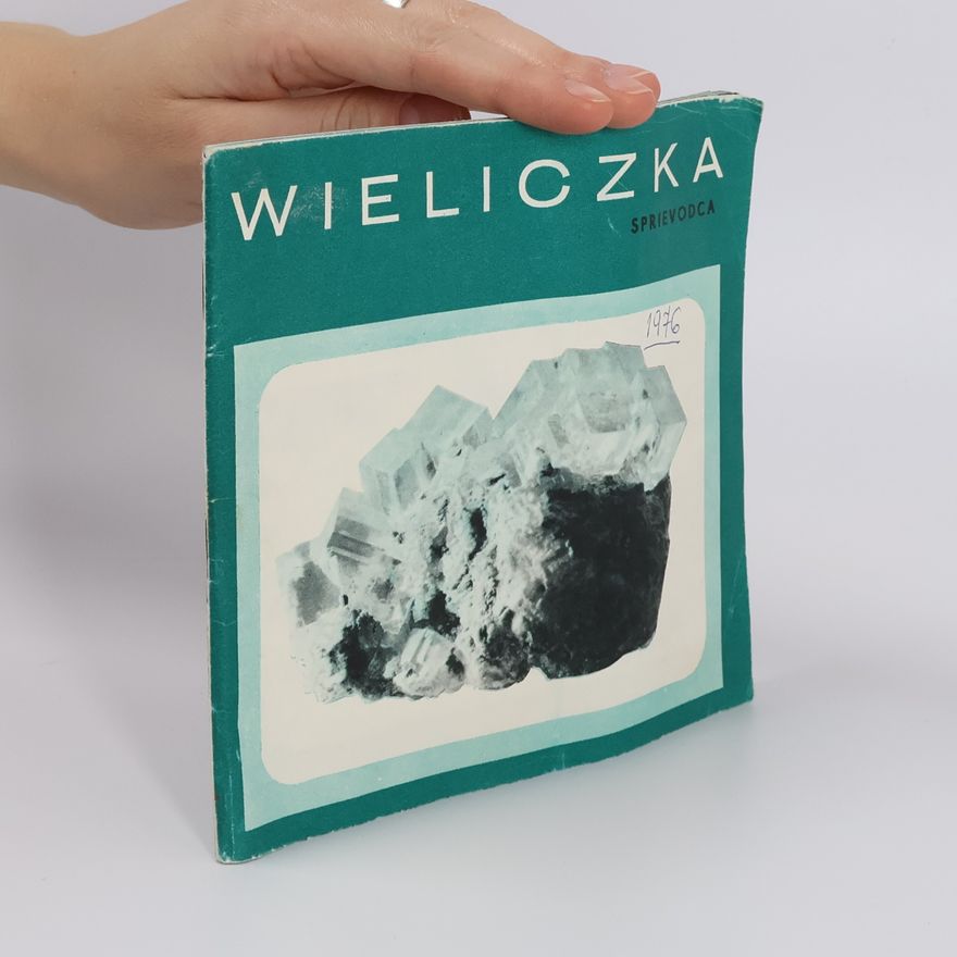 Autorenkollektiv Wieliczka. Sprievodca