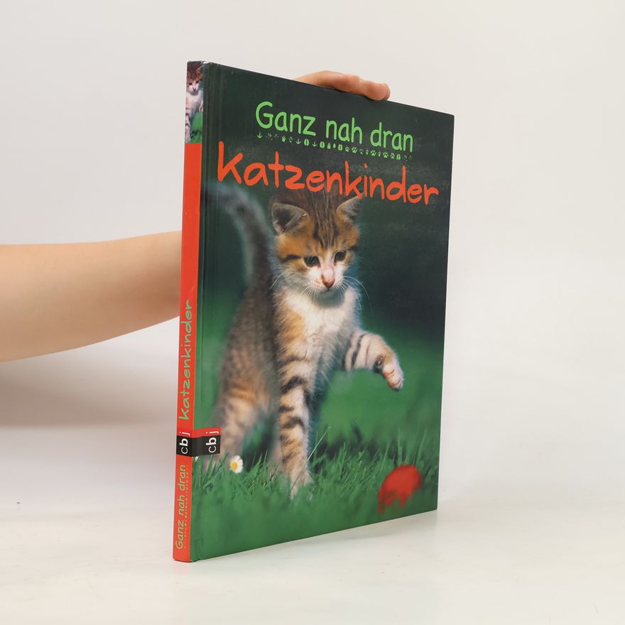 Cornelia Panzacchi Katzenkinder