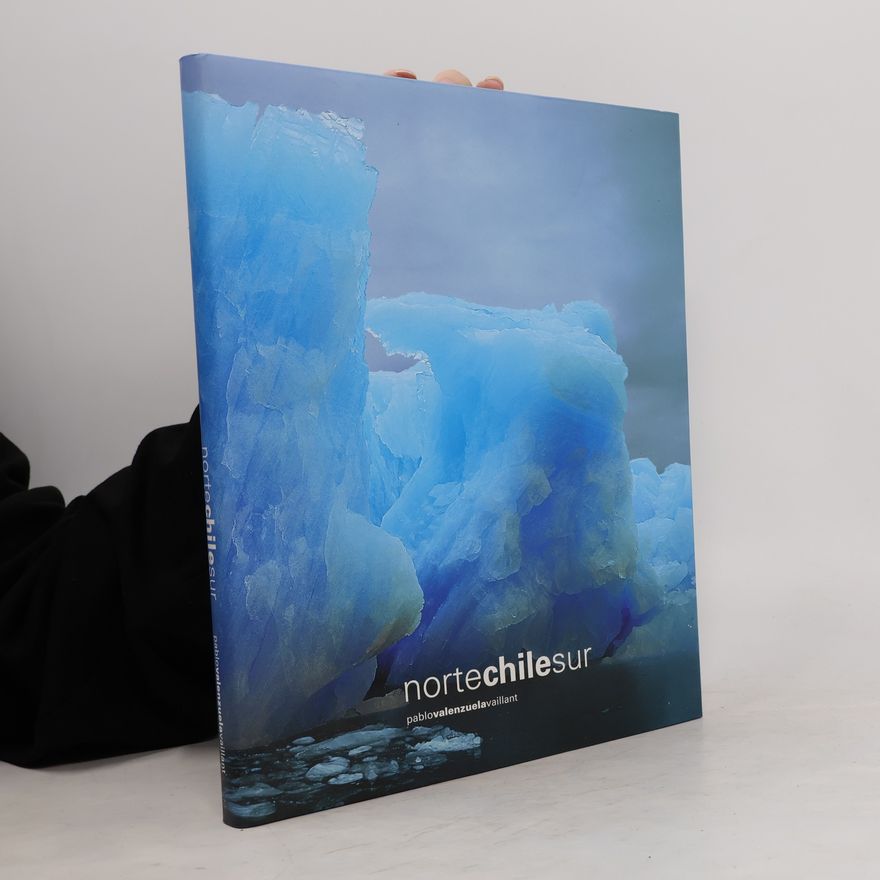 Pablo Valenzuela Vaillant Nortechilesur