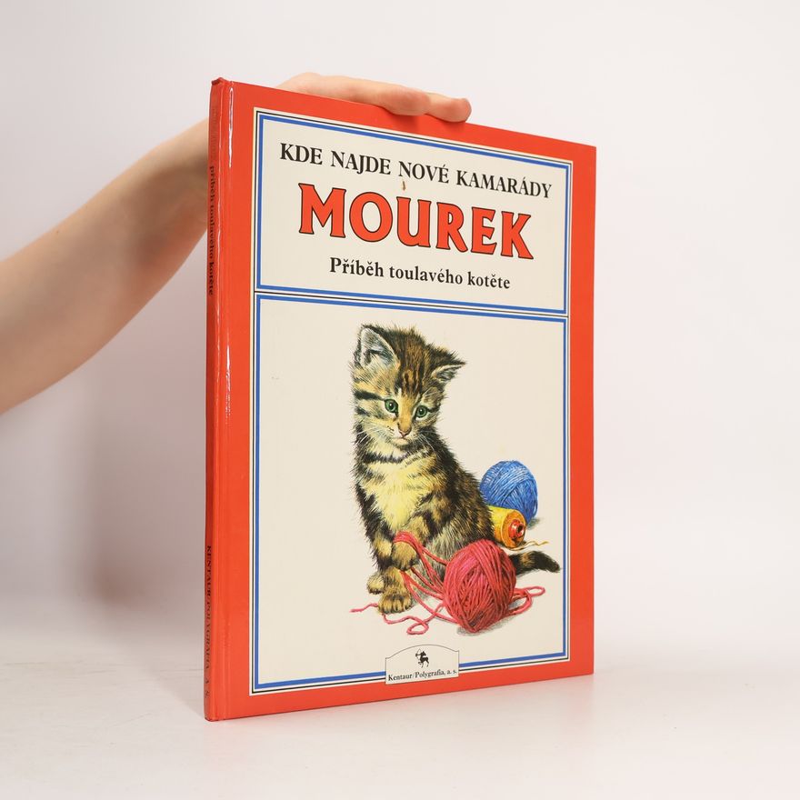 Peter Holeinone Mourek. Příběh toulavého kotěte.