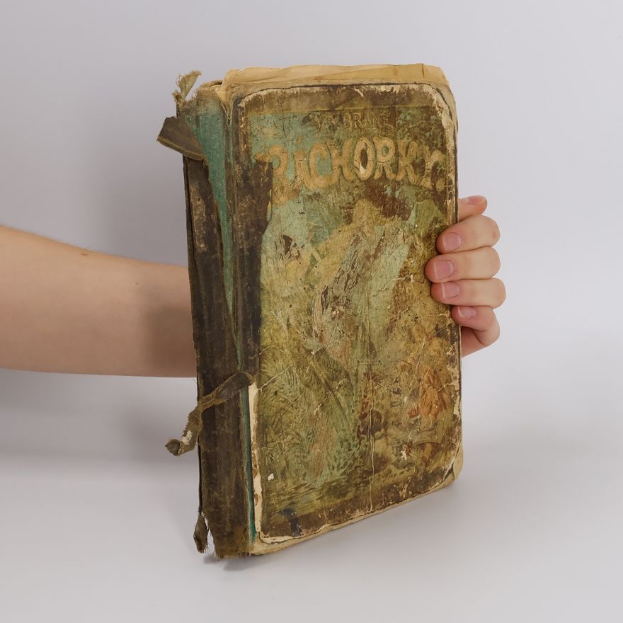 Autorenkollektiv Vybrané báchorky české i jinokrajné