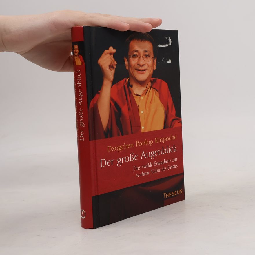 Dzogchen Ponlop Rinpoche Der große Augenblick