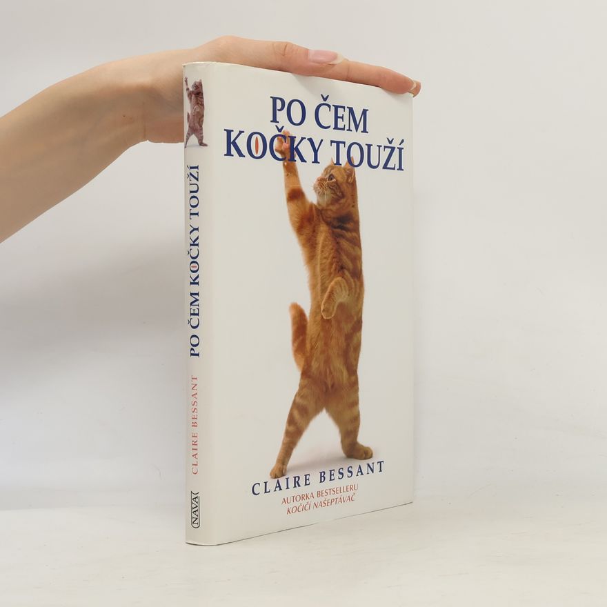 Claire Bessant Po čem kočky touží