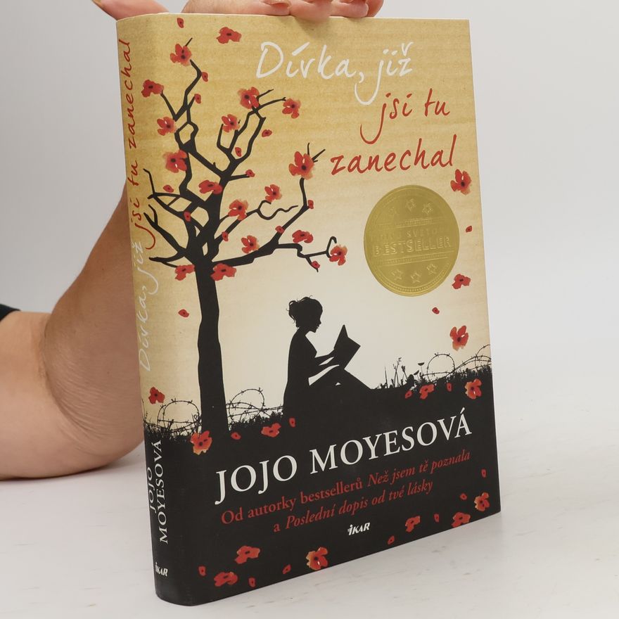 Jojo Moyes Dívka, již jsi tu zanechal