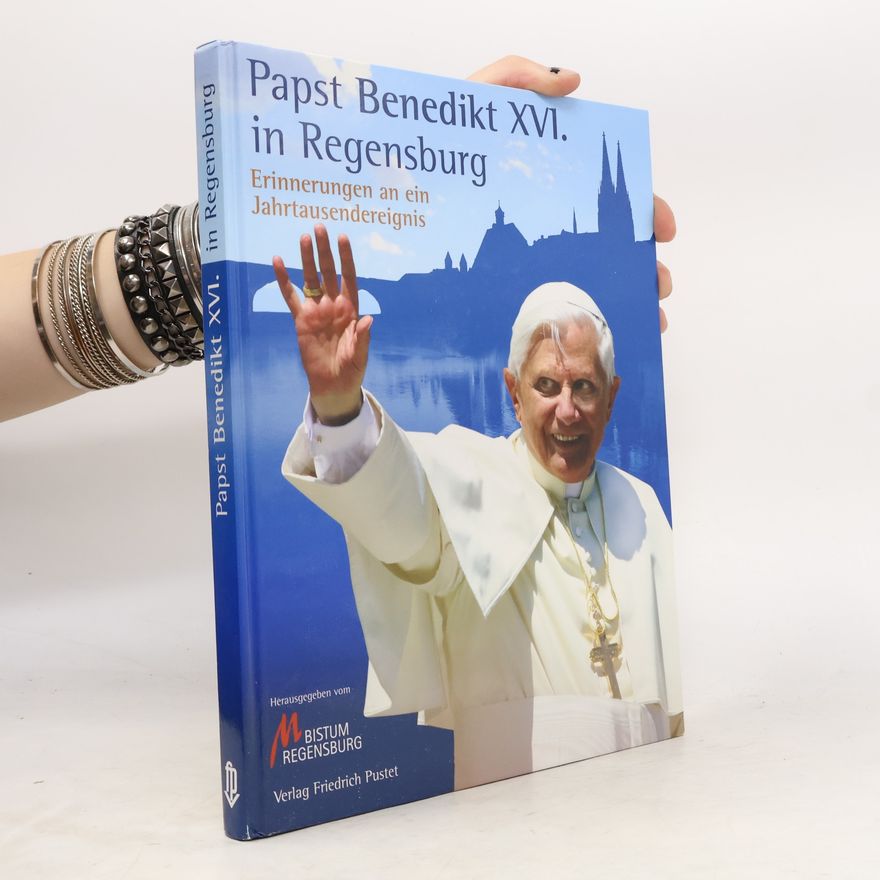Karl Birkenseer Papst Benedikt XVI. in Regensburg
