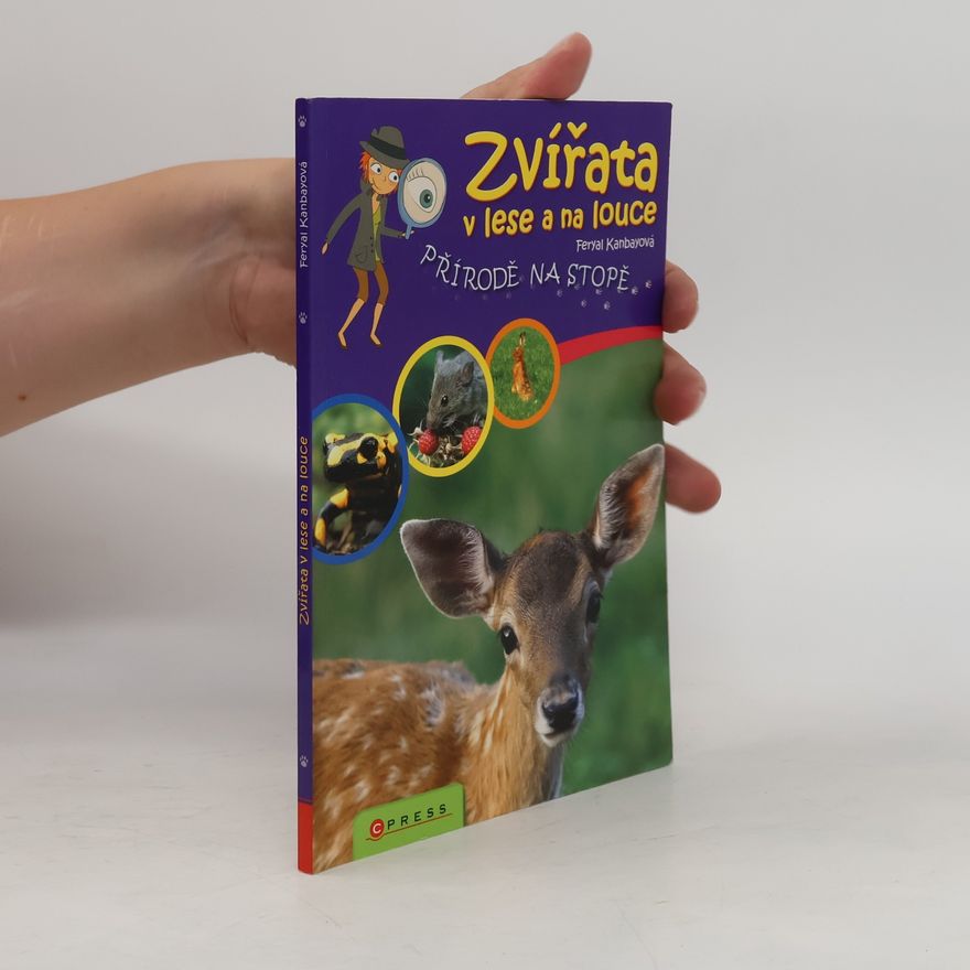 Feryal Kanbay Zvířata v lese a na louce
