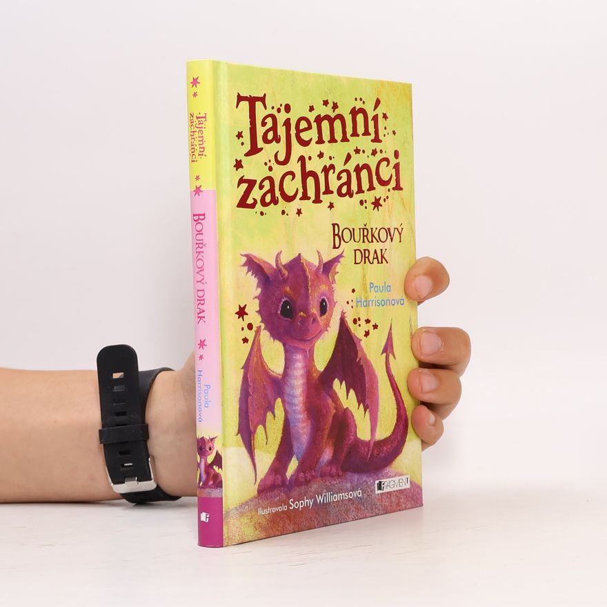 Paula Harrison Tajemní zachránci - Bouřkový drak
