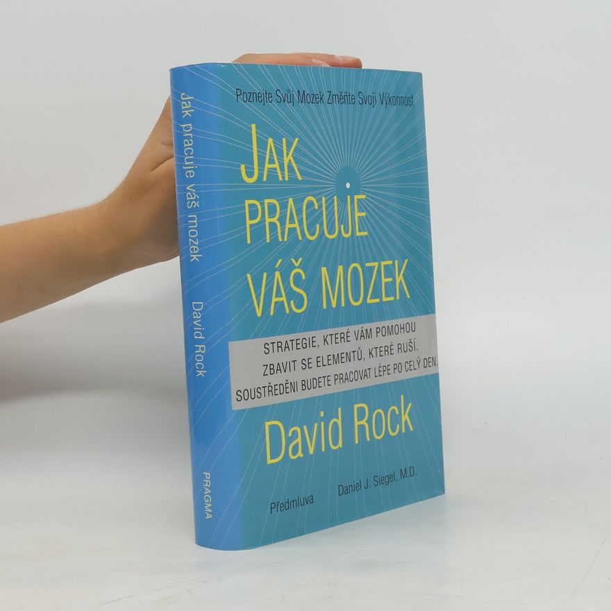 David Rock Jak pracuje váš mozek