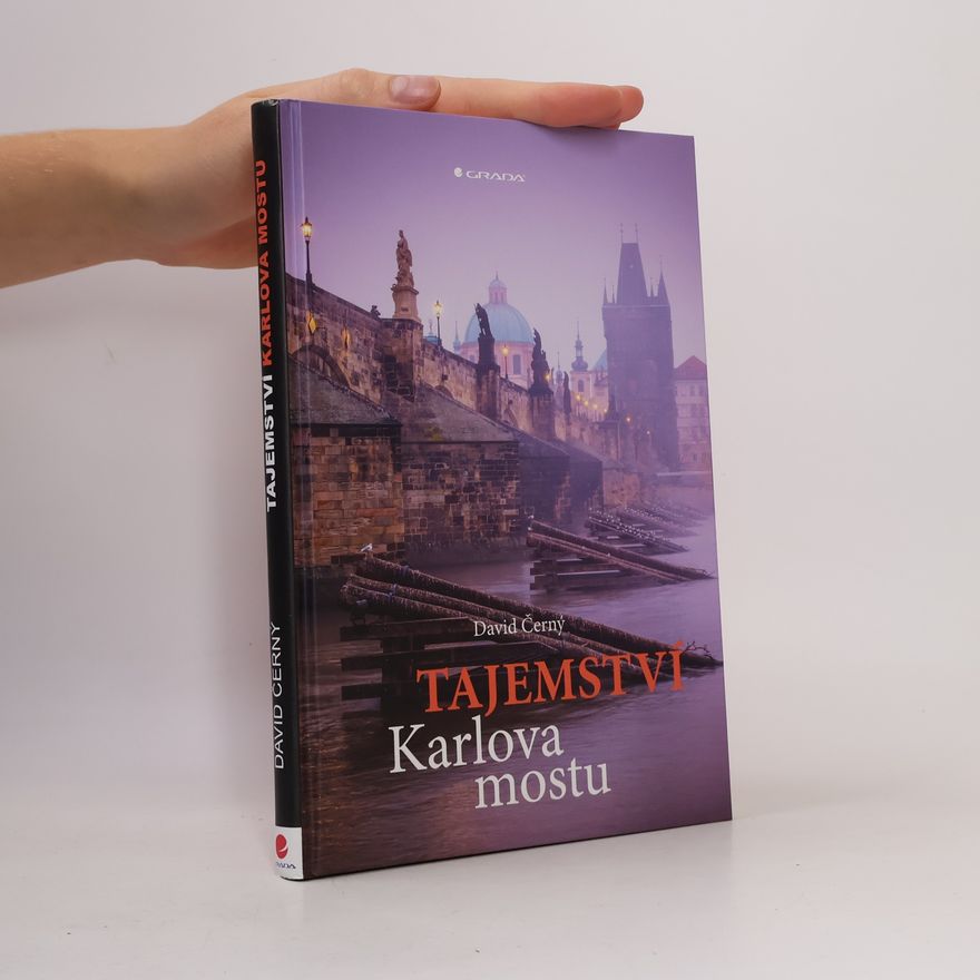 David Černý Tajemství Karlova mostu