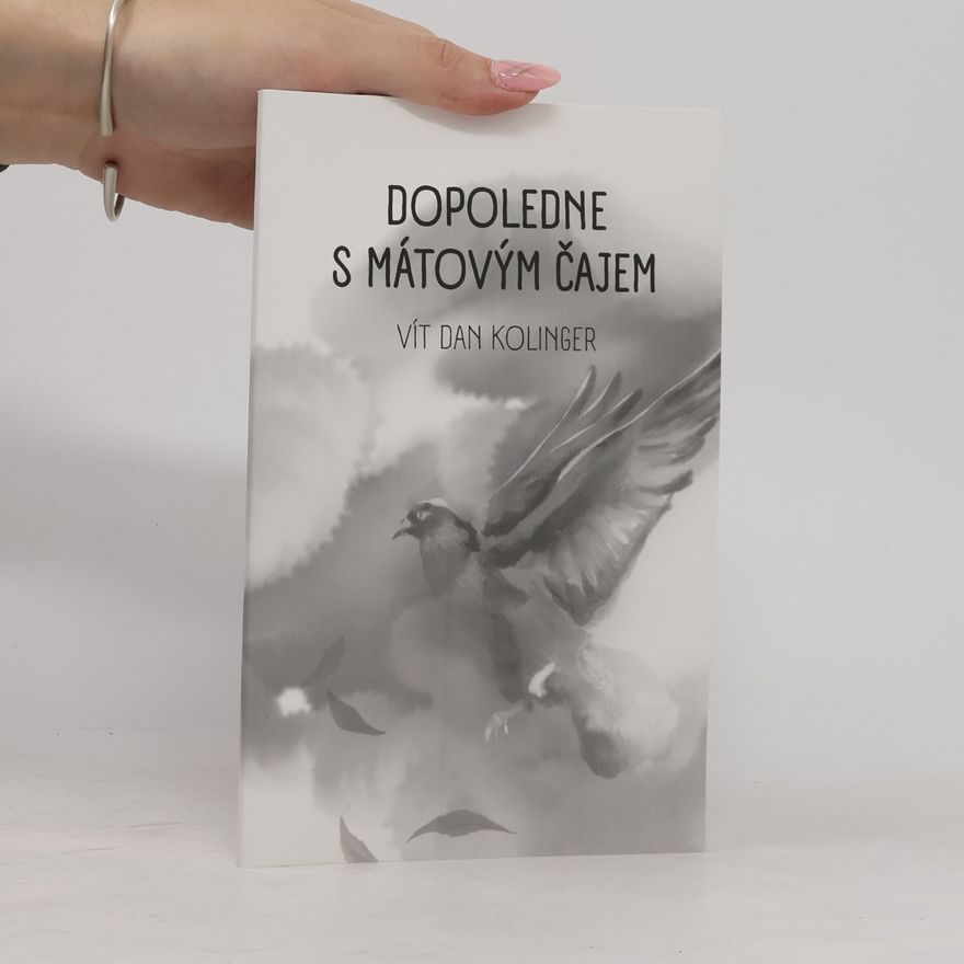 Vít Dan Kolinger Dopoledne s mátovým čajem