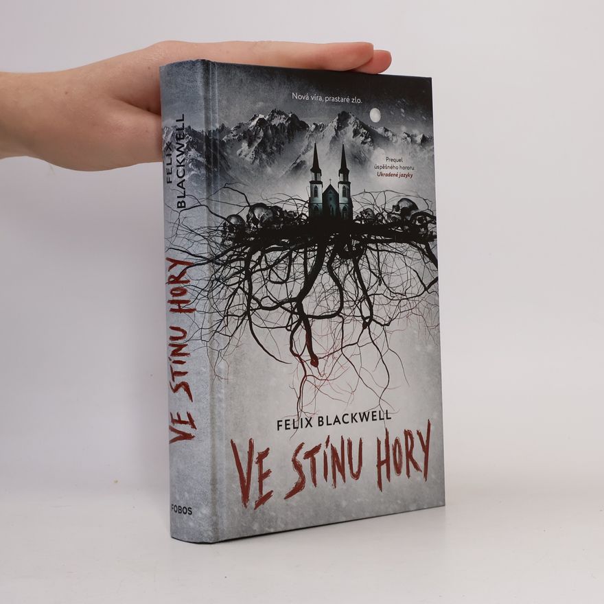 Felix Blackwell Ve stínu hory