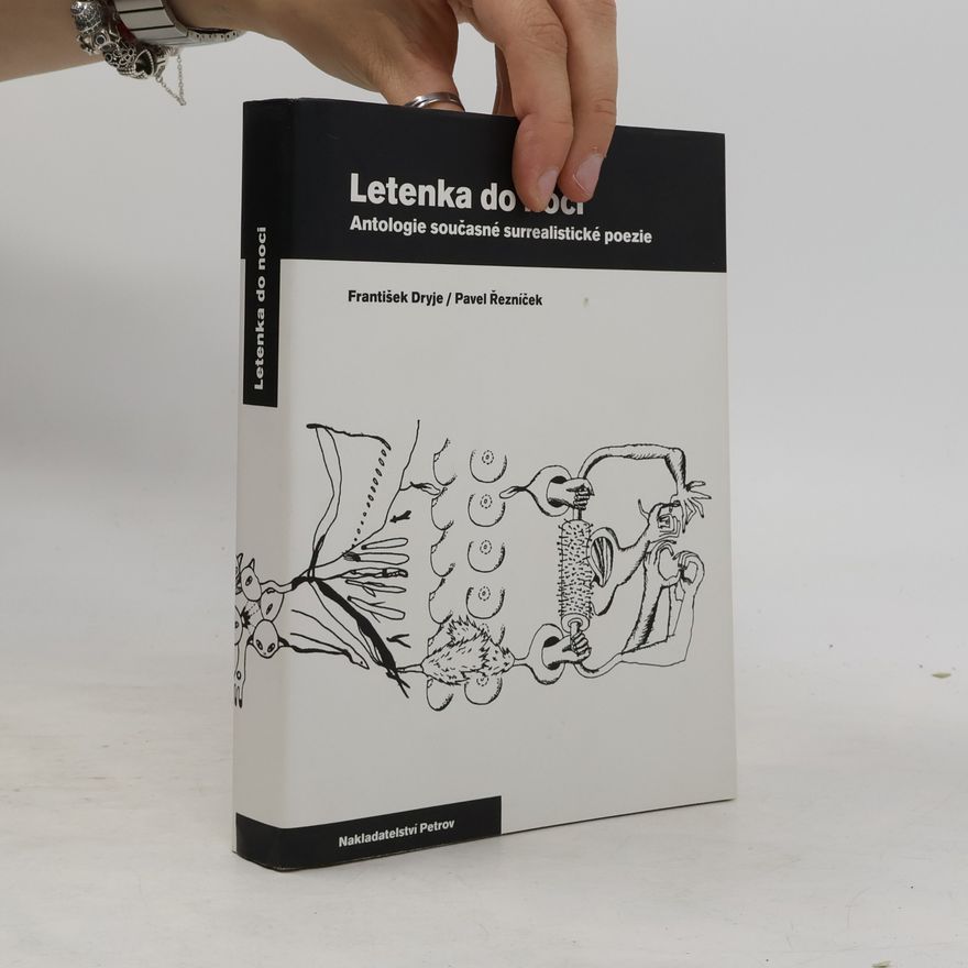 Pavel Řezníček Letenka do noci