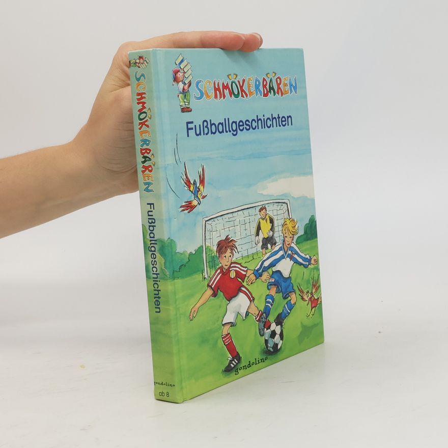 AA.VV. Fußballgeschichten
