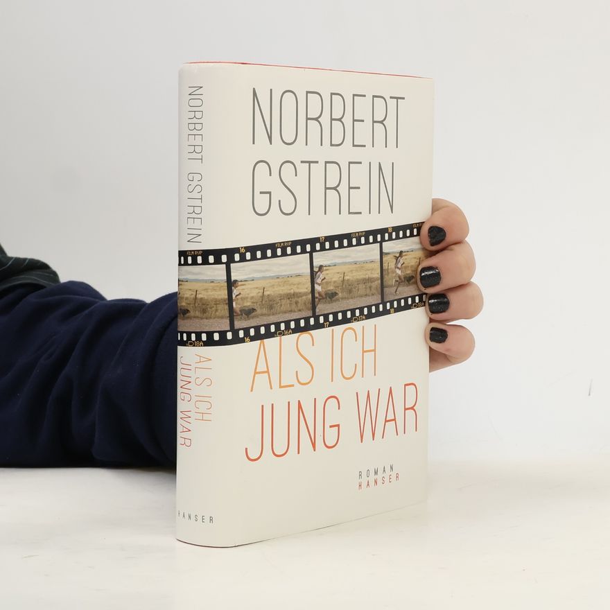 Norbert Gstrein Als ich jung war