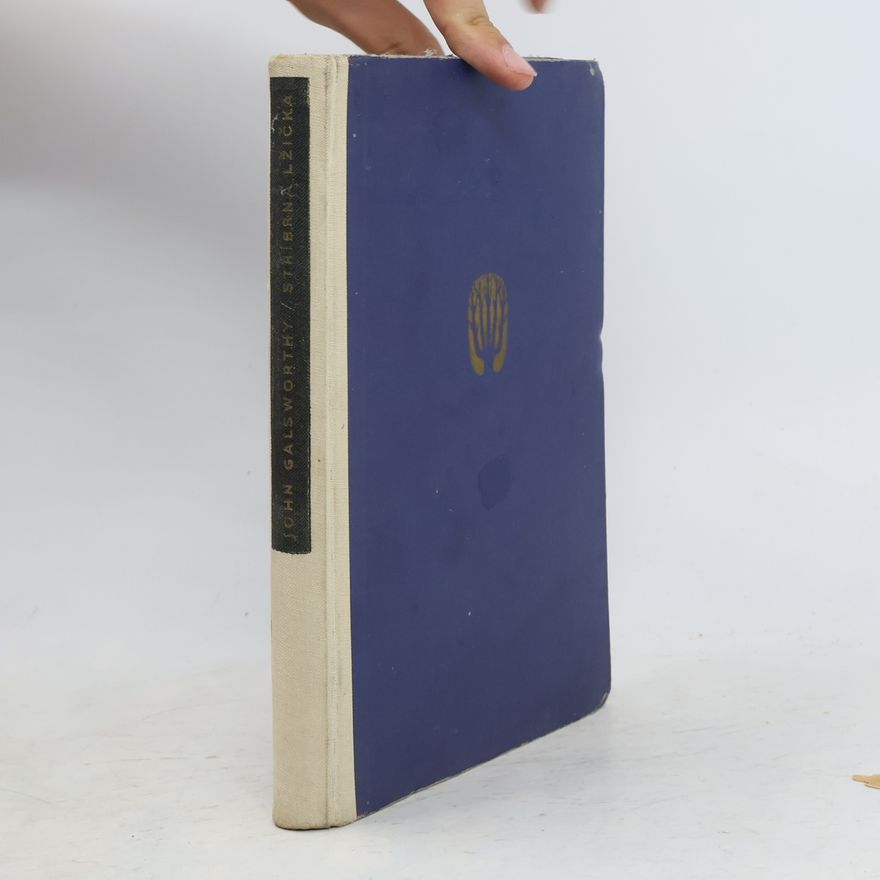 John Galsworthy Stříbrná lžička