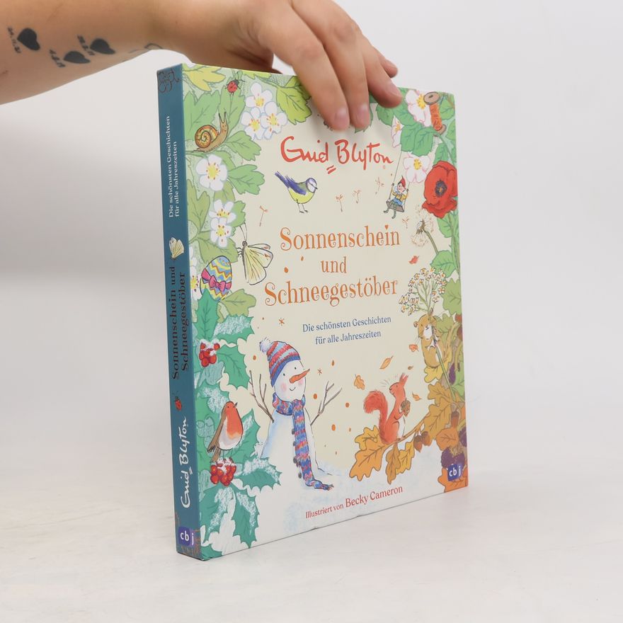 Enid Blyton Sonnenschein und Schneegestöber