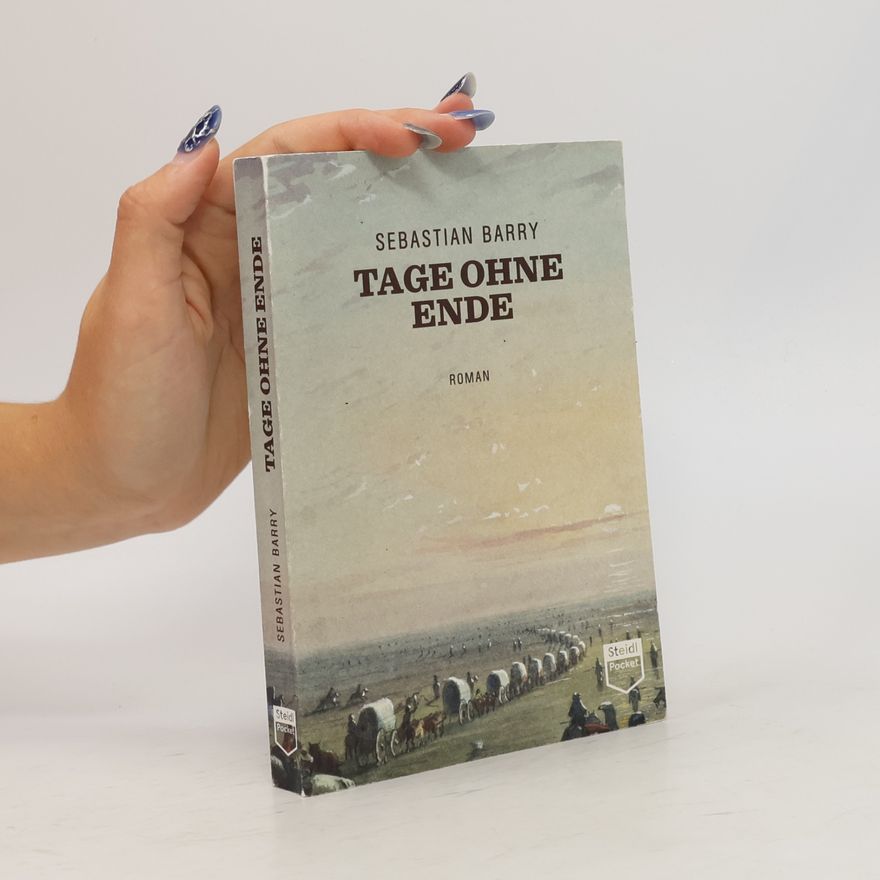 Sebastian Barry Tage ohne Ende