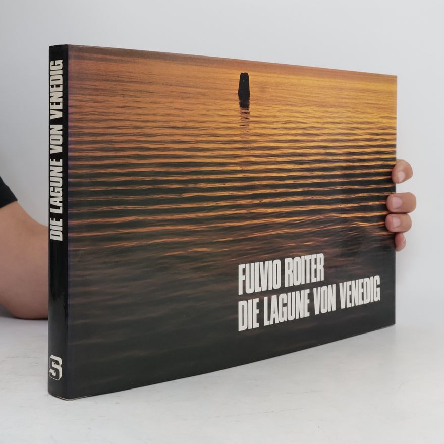 Fulvio Roiter Die Lagune von Venedig
