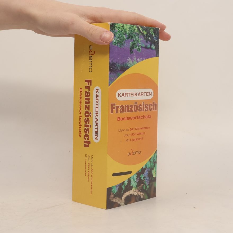 Autorenkollektiv Französisch-Karteikarten, Basiswortschatz