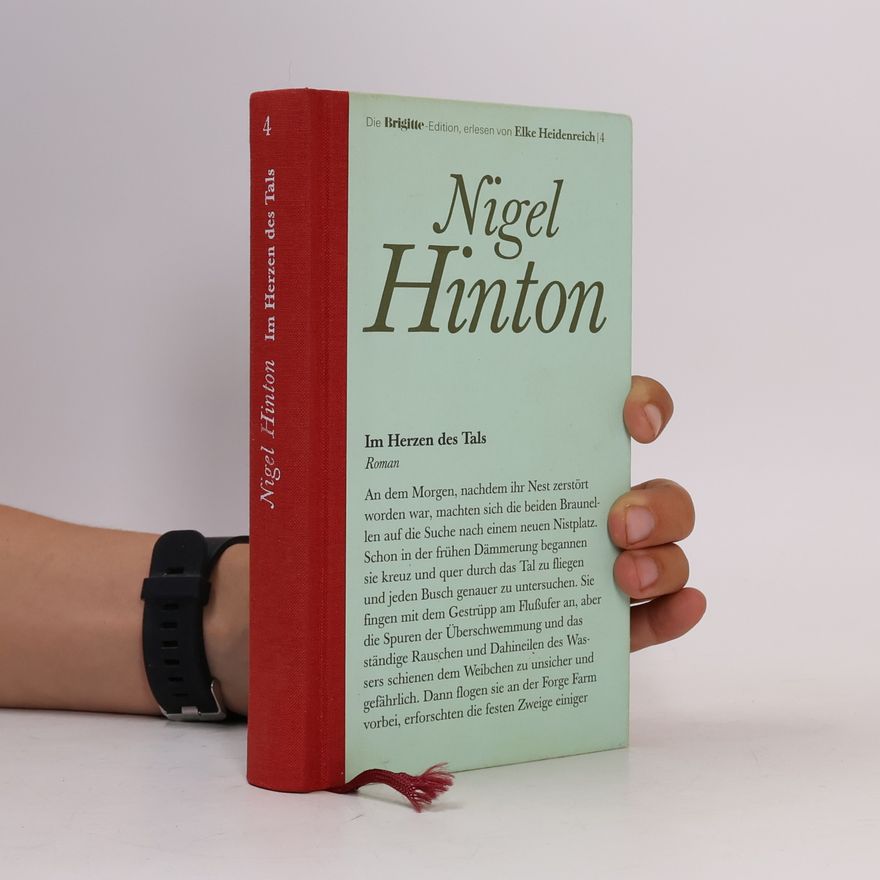 Nigel Hinton Im Herzen des Tals 4