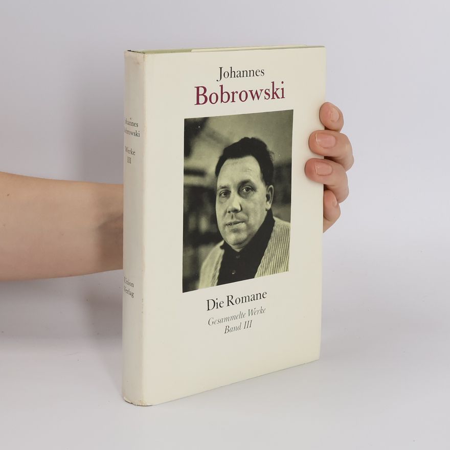 Johannes Bobrowski Die Romane