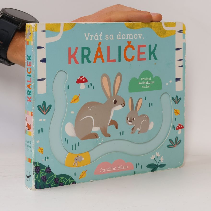 Kolektív autorov Vráť sa domov, králiček