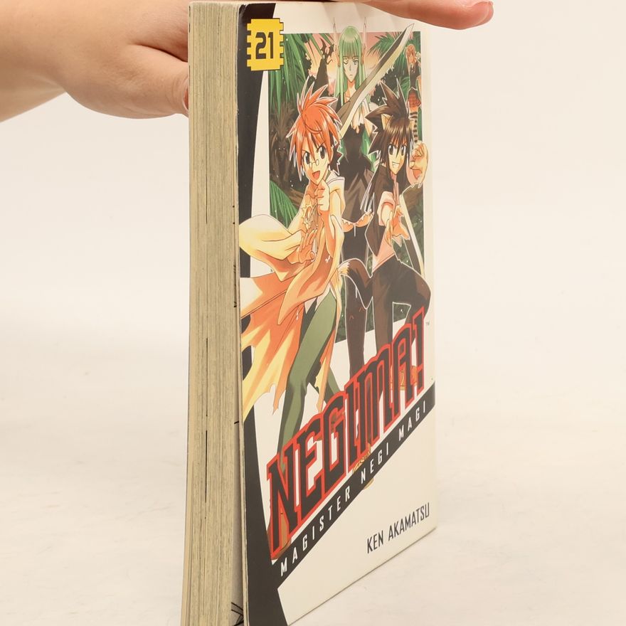 Ken Akamatsu Negima!