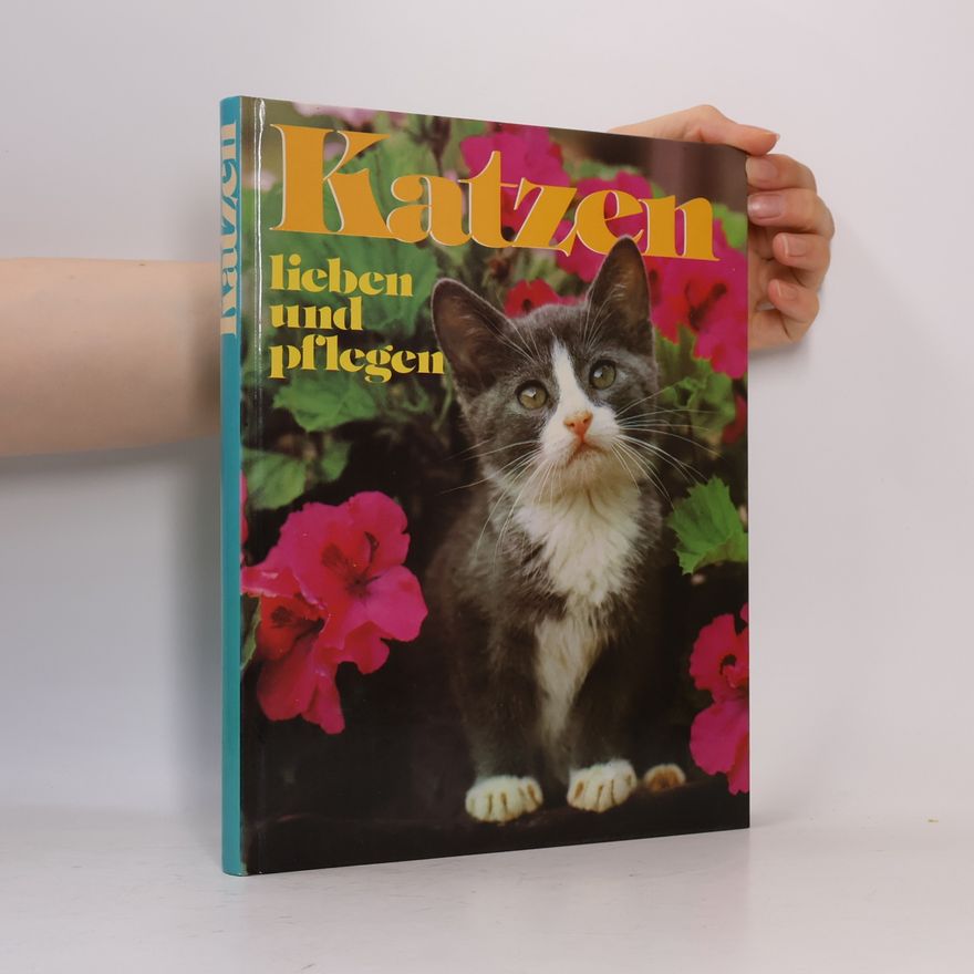 Autorenkollektiv Katzen lieben und pflegen
