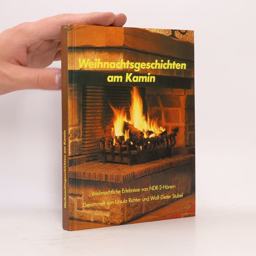 Autorenkollektiv Weihnachtsgeschichten am Kamin