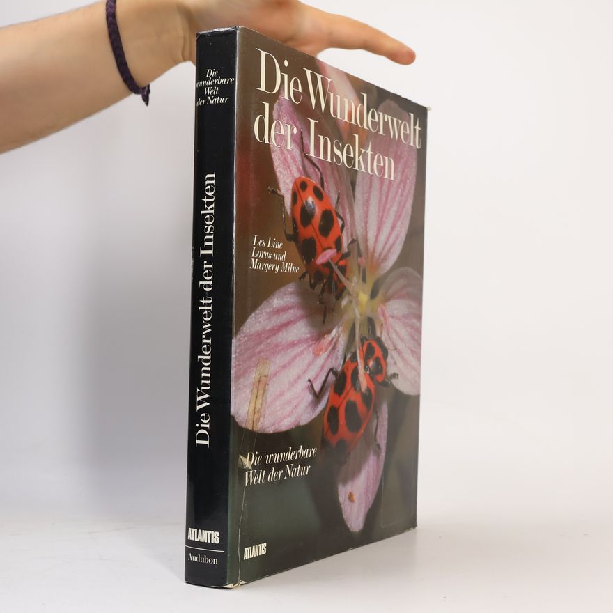 Margery Milne Die Wunderwelt der Insekten