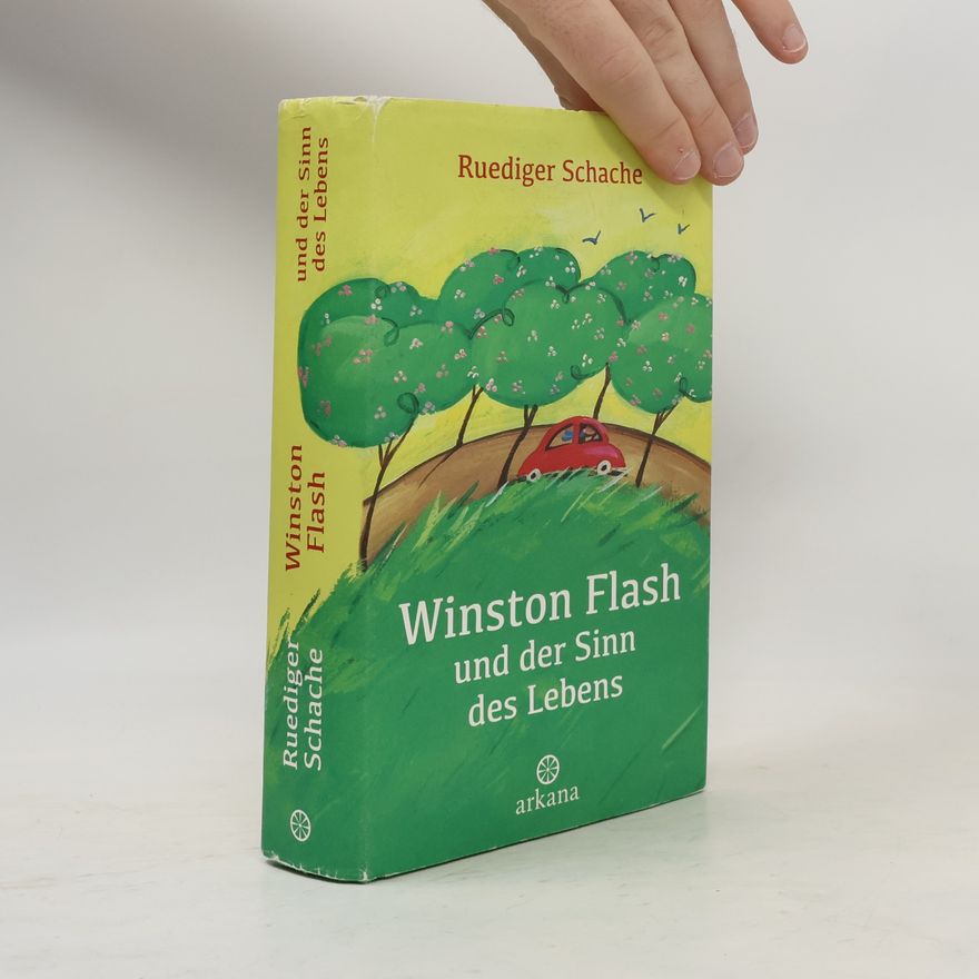 Ruediger Schache Winston Flash und der Sinn des Lebens