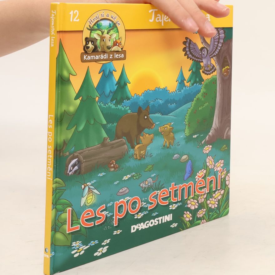 Kolektiv autorů Tajemství lesa 12. Les po setmění