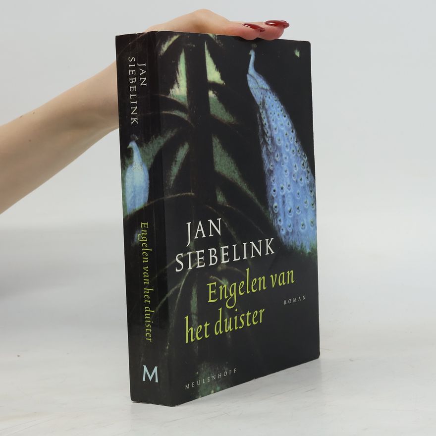 Jan Geurt Siebelink Engelen van het duister
