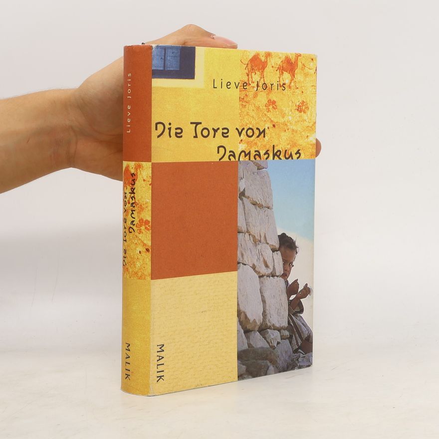 Lieve Joris Die Tore von Damaskus