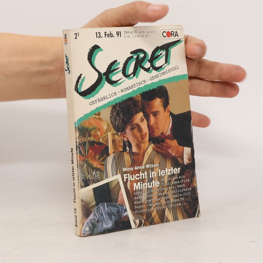 Mary Anne Wilson Secret 74. Flucht in letzter Minute