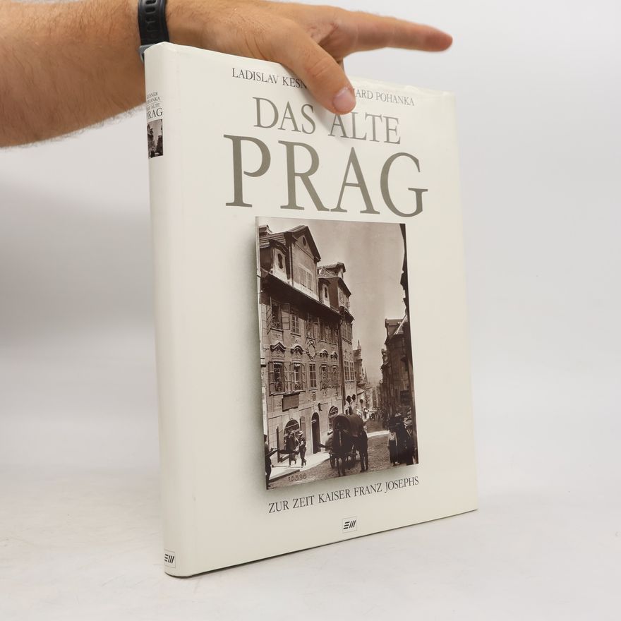 Ladislav Kesner Das alte Prag zur Zeit Kaiser Franz Josephs