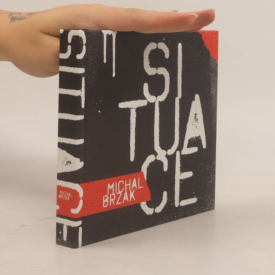 Michal Brzák Situace