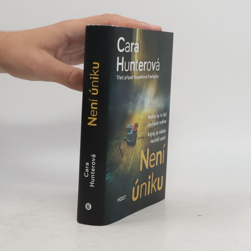 Cara Hunter Není úniku