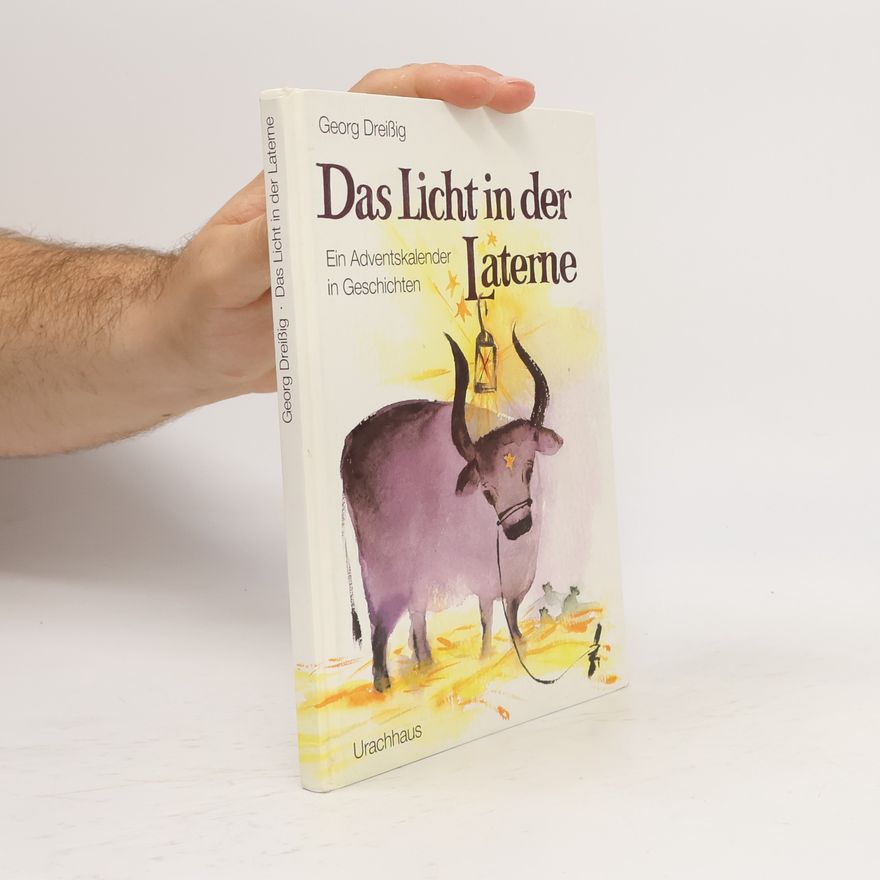 Georg Dreissig Das Licht in der Laterne