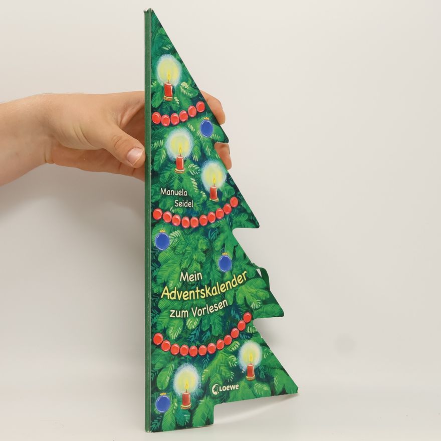 Manuela Seidel Mein Adventskalender zum Vorlesen