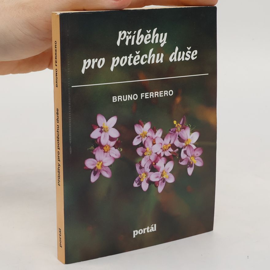 Bruno Ferrero Příběhy pro potěchu duše