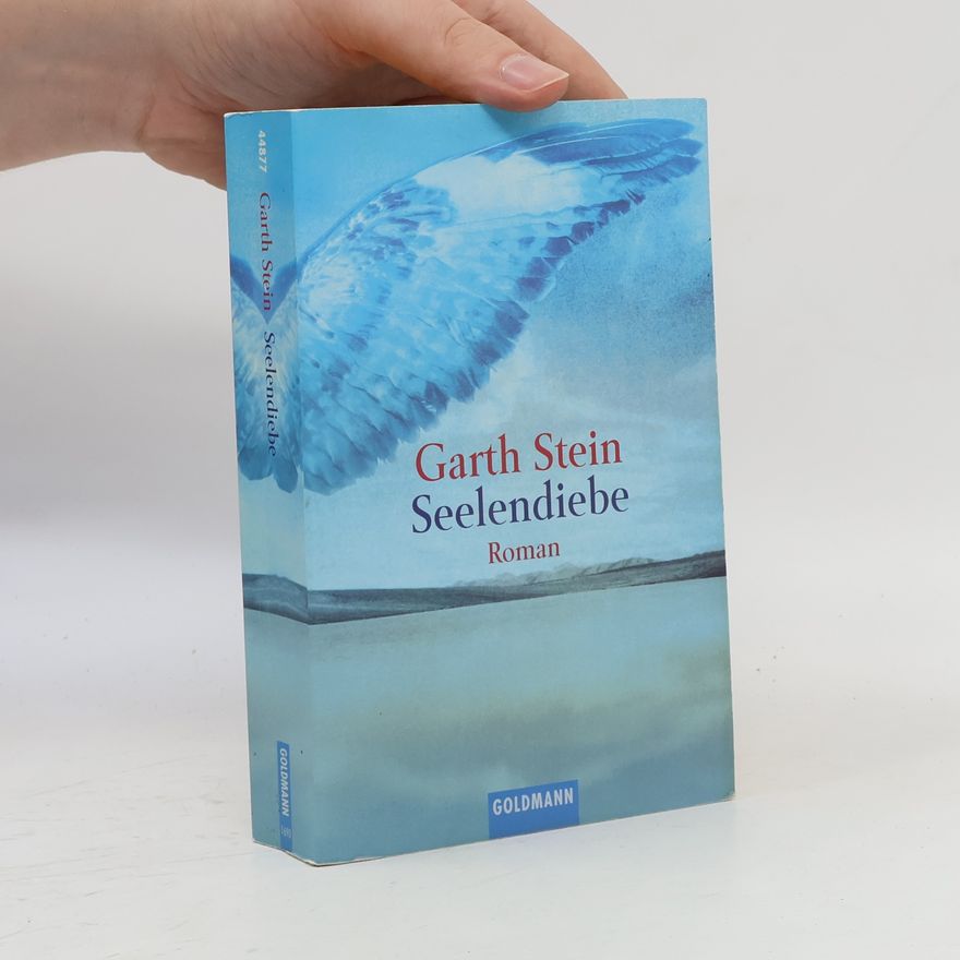 Garth Stein Seelendiebe