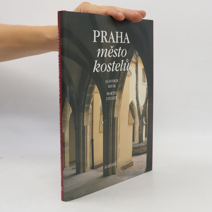 Martin Stecker Praha město kostelů