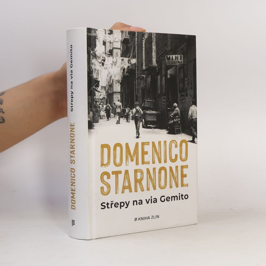 Domenico Starnone Střepy na via Gemito
