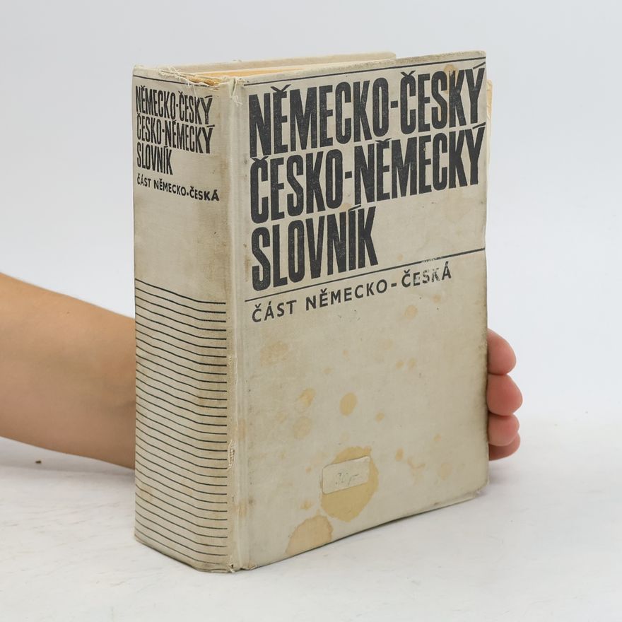 Autorenkollektiv Německo-český a česko-německý slovník