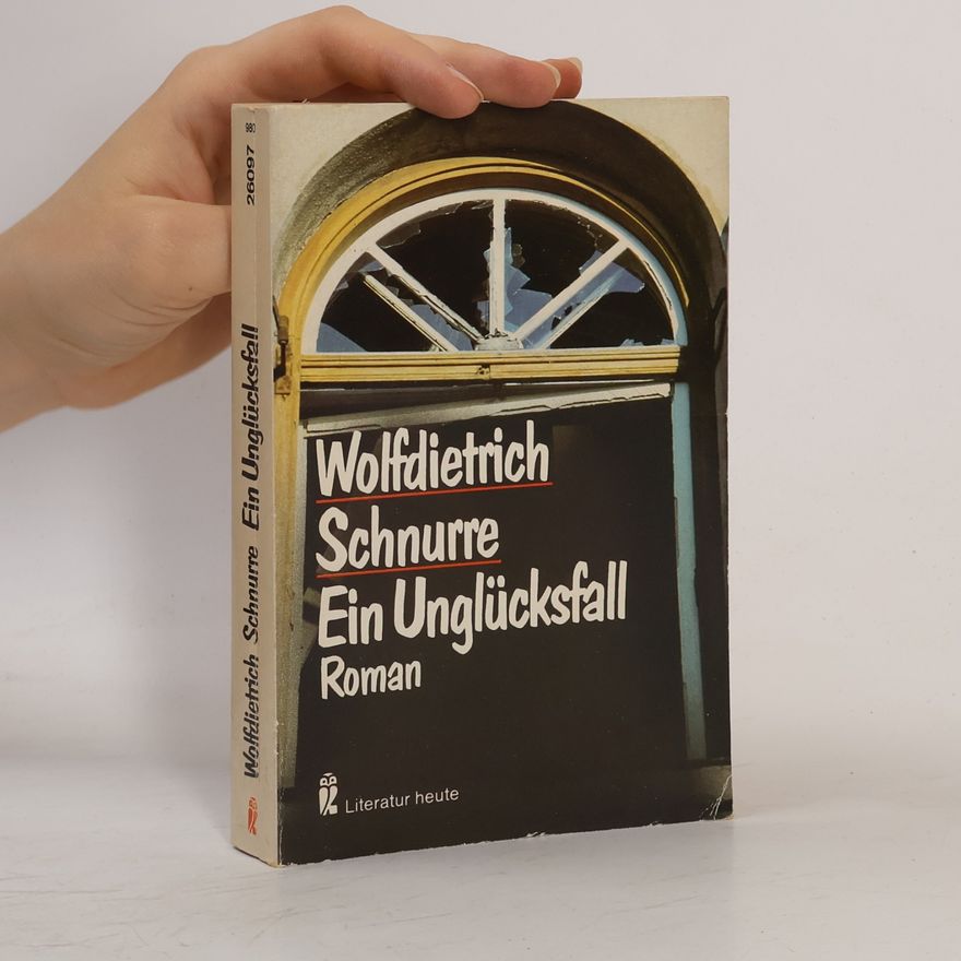 Wolf-Dietrich Schnurre Ein Unglücksfall : Roman